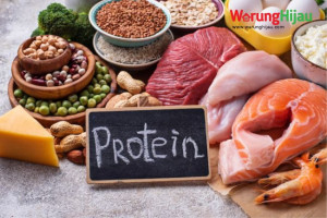 Manfaat Protein Bagi Kesehatan Tubuh