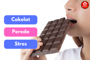 Coklat sebagai Obat Stres: Apakah Ini Benar