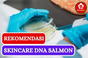 5 Rekomendasi Skincare DNA Salmon Terbaik