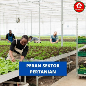 Peran Sektor Pertanian di Indonesia