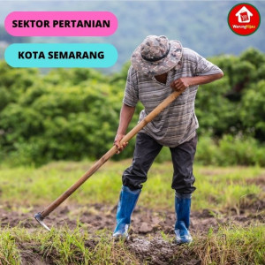 6 Faktor yang Mempengaruhi Pertanian Kota Semarang 