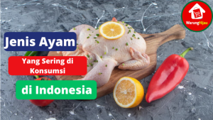 3 Jenis Ayam Yang Biasa di Konsumsi di Indonesia