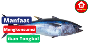 4 Manfaat Mengkonsumsi Ikan Tongkol