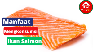 7 Manfaat Dari Mengkonsumsi Ikan Salmon