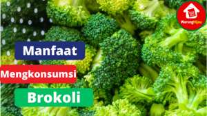 6 Kegunaan Dari Mengkonsumsi Brokoli