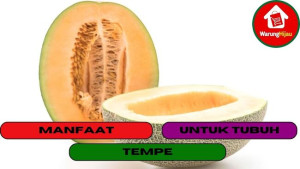 7 Manfaat Mengkonsumsi Cataloupe Melon