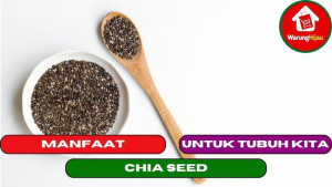 10 Manfaat Chia Seed Bagi Tubuh Kita