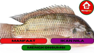 10 Manfaat Mengkonsumsi Ikan Nila Untuk Tubuh