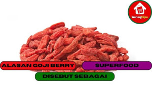 10 Hal yang Membuat Goji Berry Sebagai Super Food