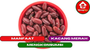 7 Manfaat Mengkonsumsi Kacang Merah untuk tubuh