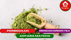 3 Perbedaan Mendasar Antara Matcha Dengan Green tea