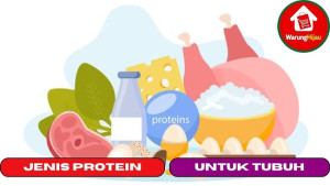 7 Jenis - jenis Protein yang Berguna Bagi Tubuh