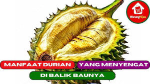 10 Manfaat Durian di Balik Baunya yang Menyengat