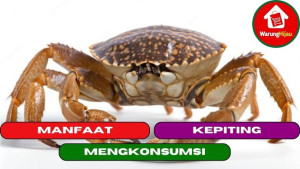 10 Manfaat Mengkonsumsi Kepiting Untuk Tubuh