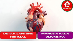 Detak Jantung Normal Manusia Pada Umumnya