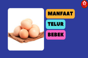 4 Manfaat Telur Bebek untuk Kesehatan: Baik untuk Diet