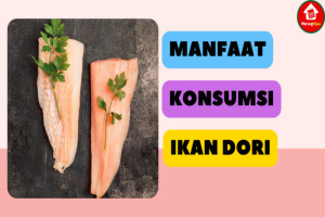 8 Manfaat Konsumsi Ikan Dori bagi Kesehatan Tubuh