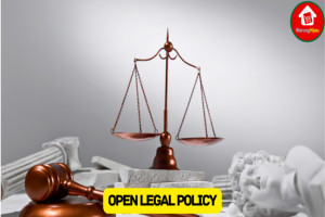 Simak Definisi Open Legal Policy